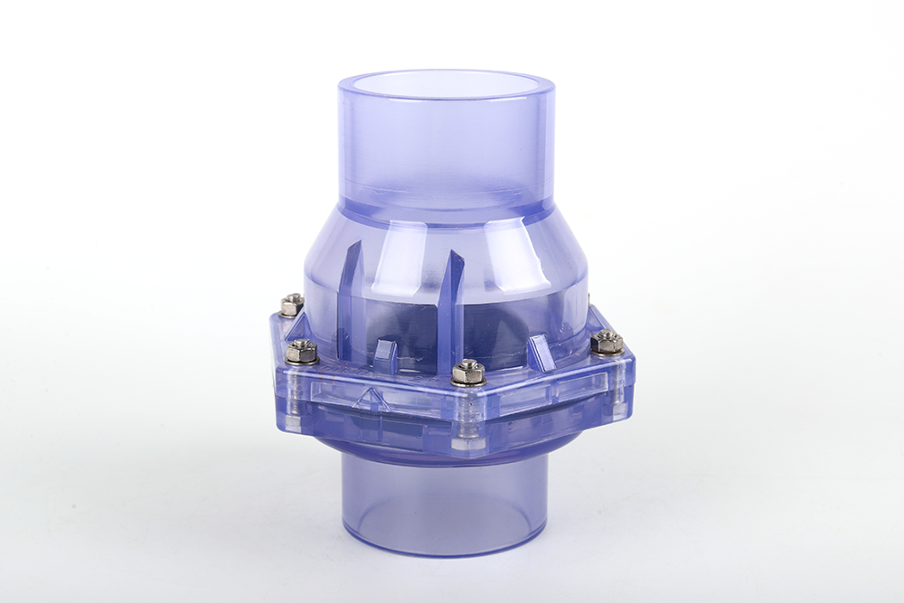 枞阳透明翻板式止回阀